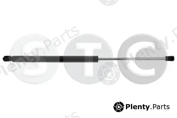 STC T446628 — Gas Spring, boot/cargo area