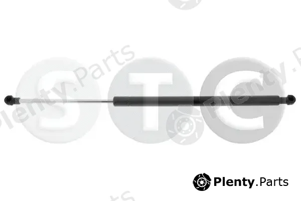 STC T446741 — Gas Spring, boot/cargo area