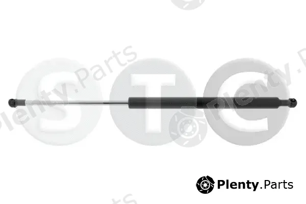 STC T446416 — Gas Spring, boot/cargo area