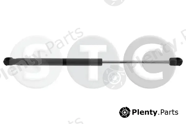STC T446312 — Gas Spring, boot/cargo area