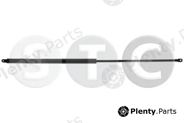 STC T446307 — Gas Spring, boot/cargo area
