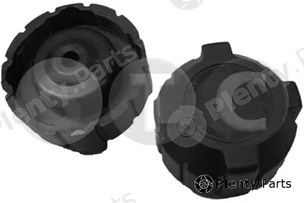 STC T431619 — Cap, coolant tank