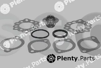 STC T430931 — Thermostat, coolant