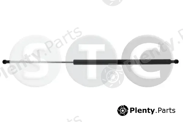 STC T446363 — Gas Spring, boot/cargo area