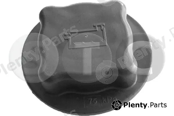 STC T4500215 — Cap, coolant tank