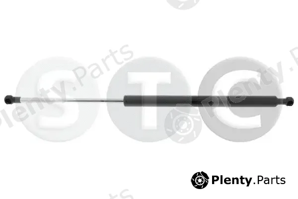 STC T446137 — Gas Spring, boot/cargo area