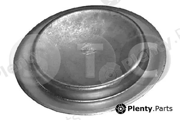 STC T402789 — Frost Plug