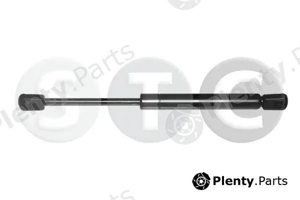 STC T446216 — Gas Spring, boot/cargo area