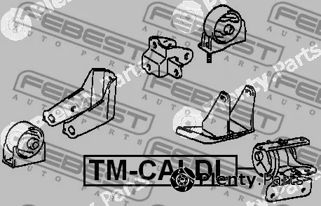 Mounting, engine