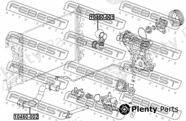 Febest 10460-002 — Radiator Hose