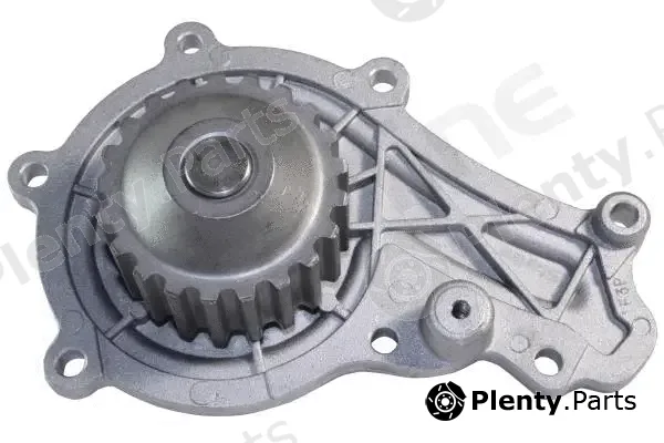 Starline VPP137 — Water Pump, engine cooling