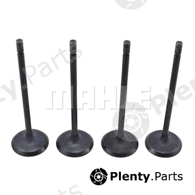 Metal Leve VA0181730 — Intake Valve