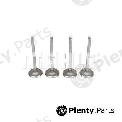 Metal Leve VA0570035 — Intake Valve