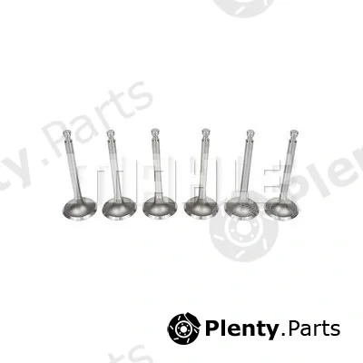 Metal Leve VA0230119 — Intake Valve