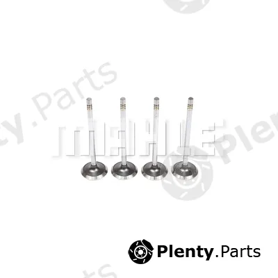 Metal Leve VE0591462 — Exhaust Valve