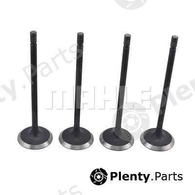 Metal Leve VA0181746 — Intake Valve