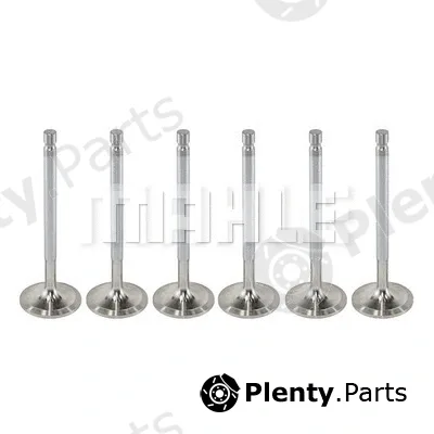 Metal Leve VA0760013 — Intake Valve