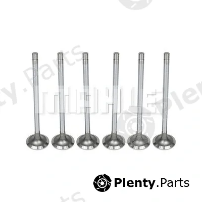 Metal Leve VA0011469 — Intake Valve