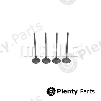 Metal Leve VE0141582 — Exhaust Valve