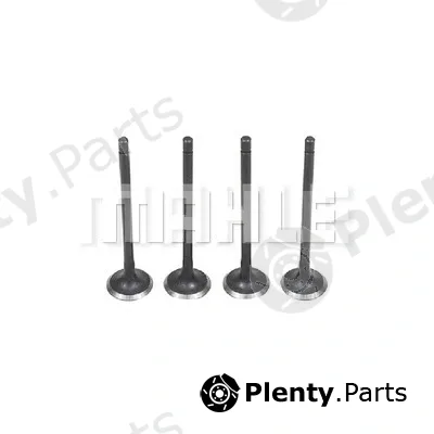 Metal Leve VA0510191 — Intake Valve