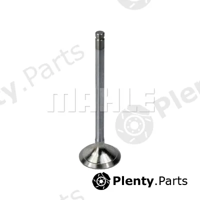 Metal Leve VE0510069 — Exhaust Valve