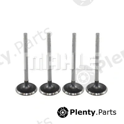 Metal Leve VA0700252 — Intake Valve