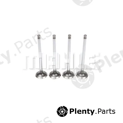 Metal Leve VE2080848 — Exhaust Valve