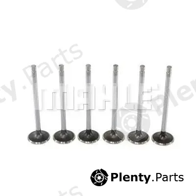 Metal Leve VA0130011 — Intake Valve