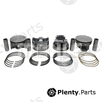 Metal Leve PA9655 — Piston