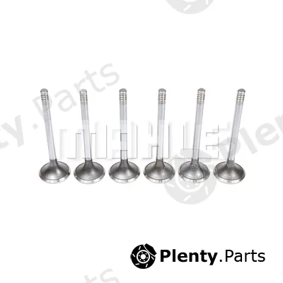 Metal Leve VE0130239 — Exhaust Valve