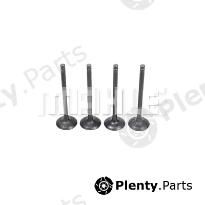 Metal Leve VE0181704 — Exhaust Valve