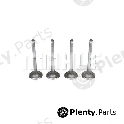Metal Leve VA0250060 — Intake Valve