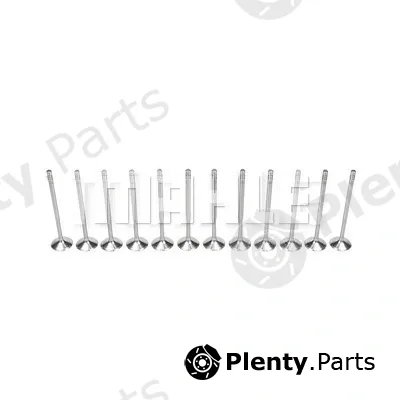 Metal Leve VA0700242 — Intake Valve