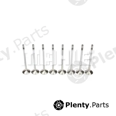 Metal Leve VE0570232 — Exhaust Valve