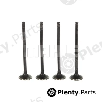Metal Leve VE5081717 — Exhaust Valve