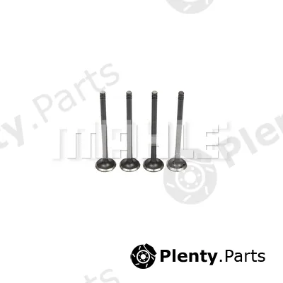 Metal Leve VE0590178 — Exhaust Valve