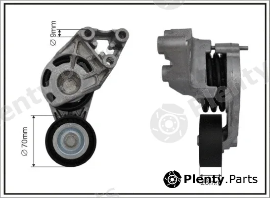 Caffaro 118087SP — Tensioner Lever, V-ribbed belt