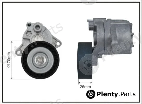 Caffaro 101100SP — Tensioner Lever, V-ribbed belt