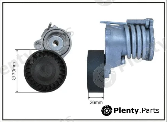 Caffaro 127100SP — Tensioner Lever, V-ribbed belt