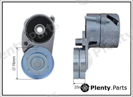 Caffaro 117100SP — Tensioner Lever, V-ribbed belt