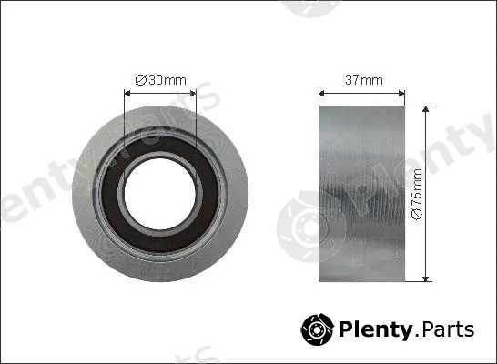 Caffaro 500589 — Tensioner Pulley, V-ribbed belt