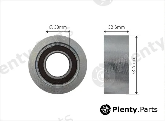 Caffaro 500580 — Tensioner Pulley, V-ribbed belt