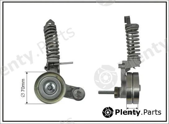Caffaro 101695SP — Tensioner Lever, V-ribbed belt