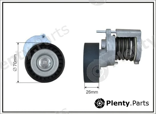Caffaro 100100SP — Tensioner Lever, V-ribbed belt
