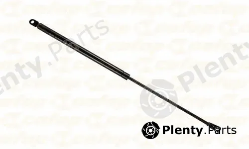 Cofap 16001 — Gas Spring, door