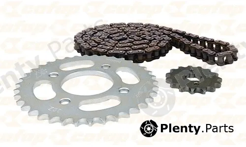 Cofap TMC590001 — Chain Set
