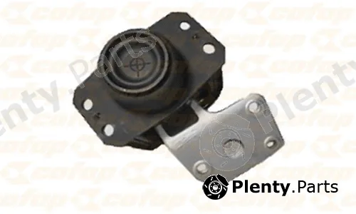 Cofap CXC17101 — Mounting, engine