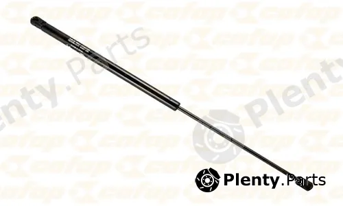 Cofap 16059 — Gas Spring, door