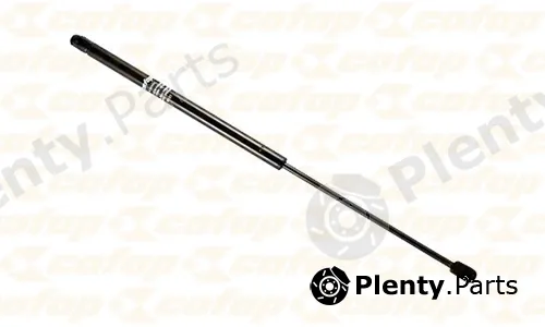 Cofap 16121 — Gas Spring, door