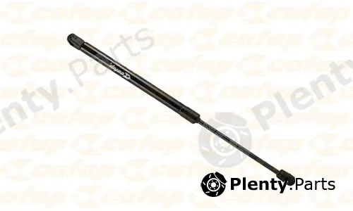 Cofap 16587 — Gas Spring, door